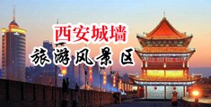 日韩肉色丝袜大鸡吧肏视频系列中国陕西-西安城墙旅游风景区